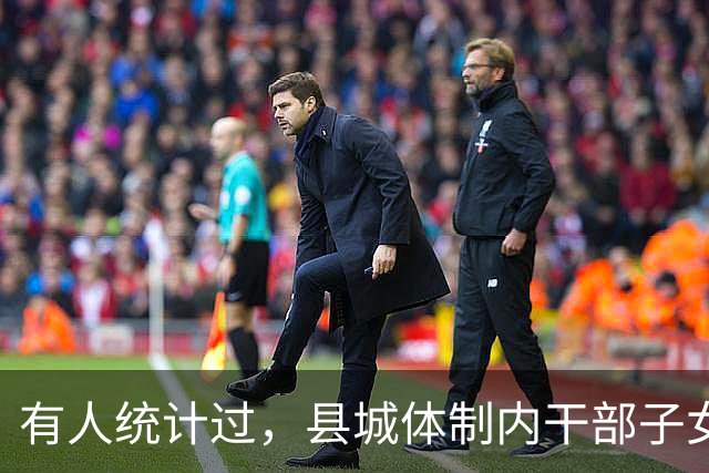 有人统计过，县城体制内干部子女基本在机关事业、电力等国企工作
