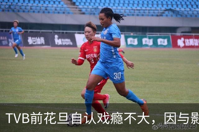 TVB前花旦自认戏瘾不大，因与影后合作而复出，日本公司仍在开